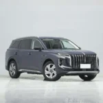 2024 Hongqi HS7 SUV – For Sale From China  | Chinese Cars in Australia - Image 6